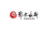 內蒙古鄂爾多斯投資控股集團有限公司